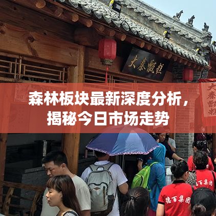 夸夸其谈