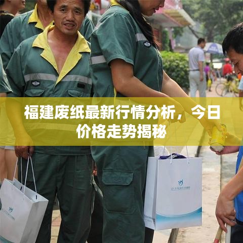 福建废纸最新行情分析，今日价格走势揭秘