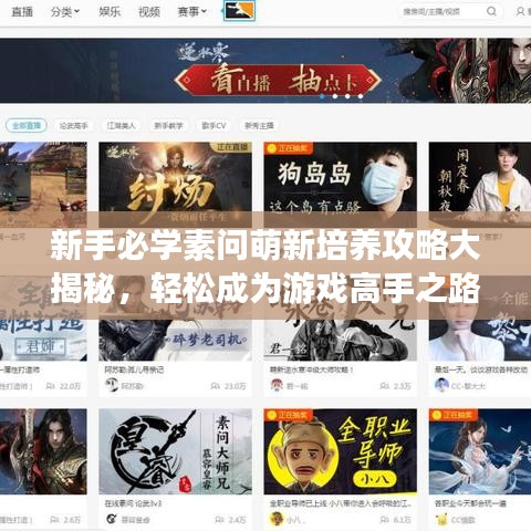 新手必学素问萌新培养攻略大揭秘，轻松成为游戏高手之路！