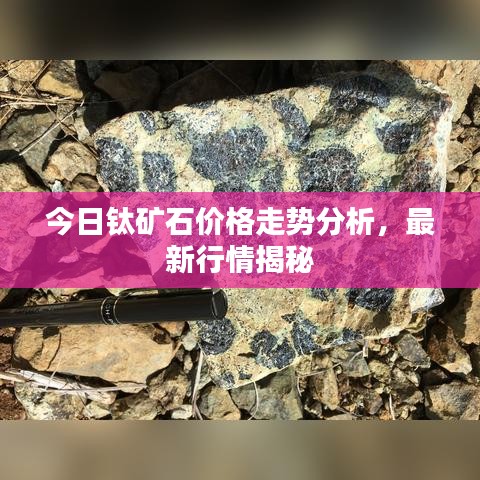 联系我们 第5页