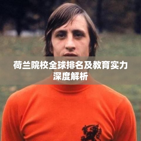荷兰院校全球排名及教育实力深度解析