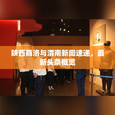 陕西商洛与渭南新闻速递，最新头条概览