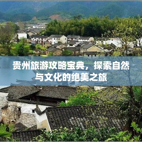 杭州卓望科技有限公司 第5页