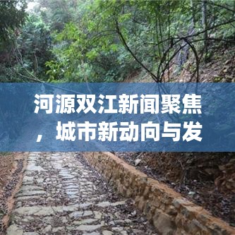 河源双江新闻聚焦，城市新动向与发展亮点揭秘