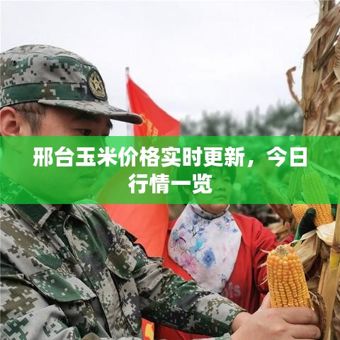邢台玉米价格实时更新，今日行情一览