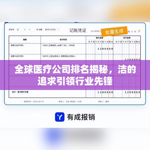 全球医疗公司排名揭秘，洁的追求引领行业先锋