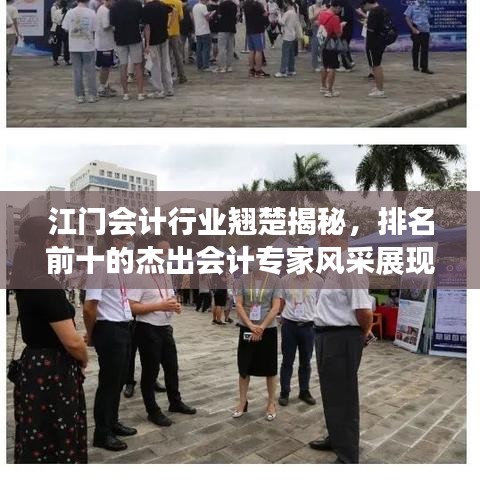 江门会计行业翘楚揭秘，排名前十的杰出会计专家风采展现