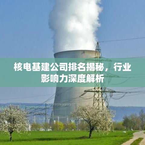 成功案例 第4页