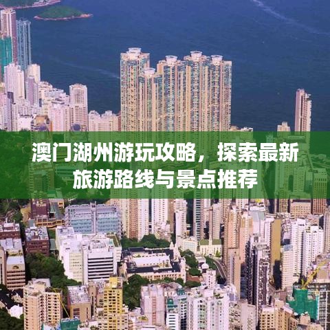 怀真抱素