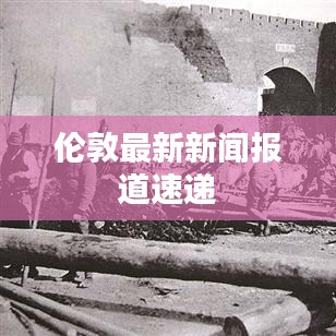 伦敦最新新闻报道速递