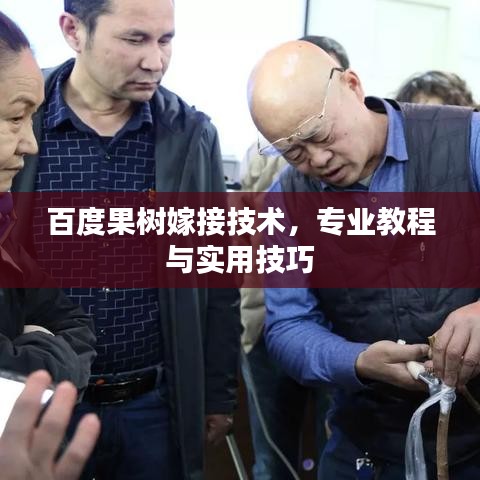 百度果树嫁接技术，专业教程与实用技巧