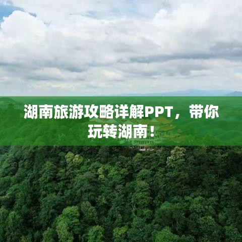 开张圣听