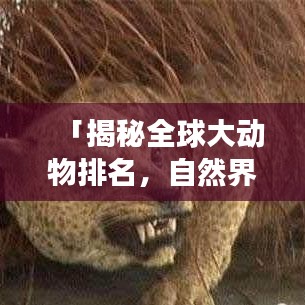成功案例 第3页