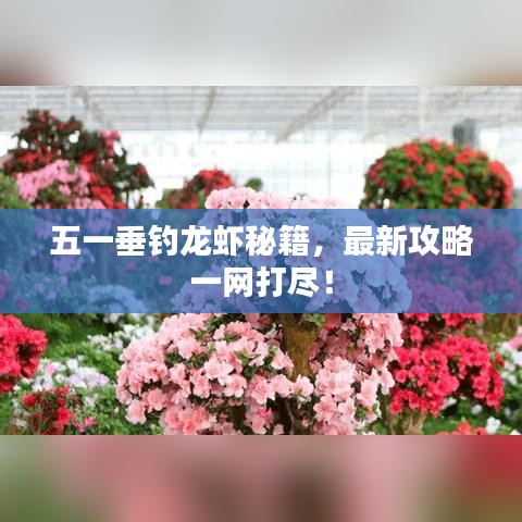 呼吸相通