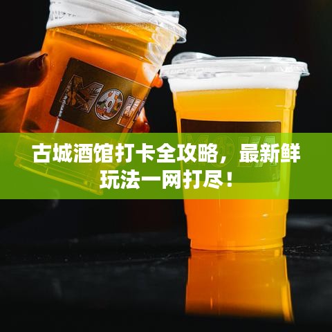 古城酒馆打卡全攻略，最新鲜玩法一网打尽！