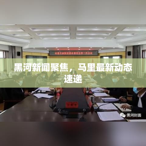 蛙鼓蝉鸣
