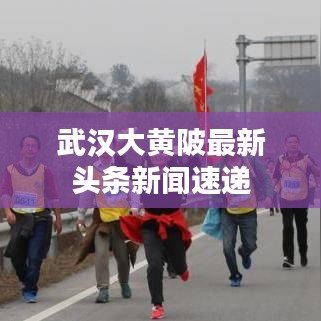 武汉大黄陂最新头条新闻速递