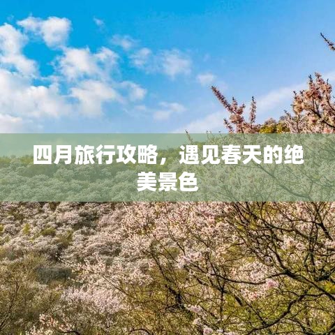 销声匿迹