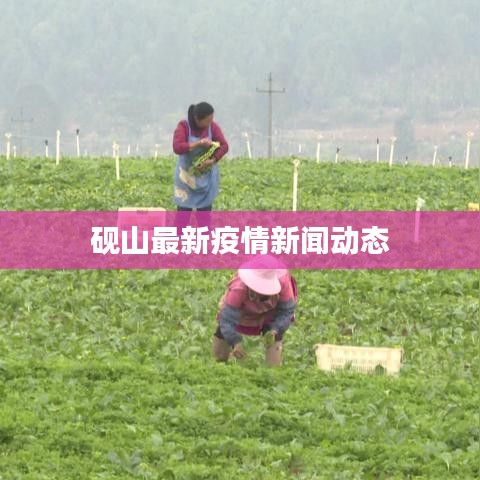 砚山最新疫情新闻动态