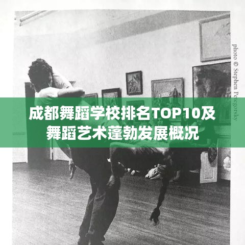 成都舞蹈学校排名TOP10及舞蹈艺术蓬勃发展概况