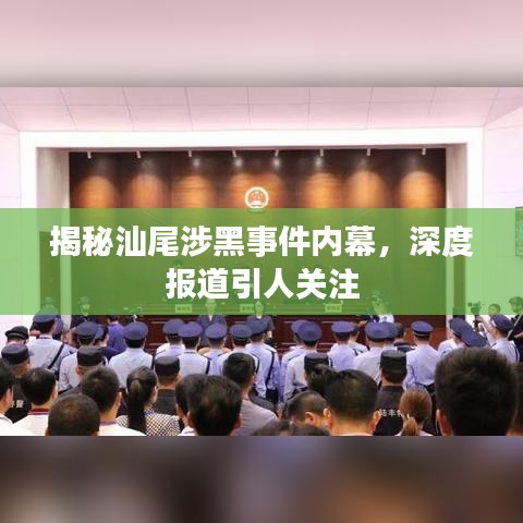 揭秘汕尾涉黑事件内幕，深度报道引人关注