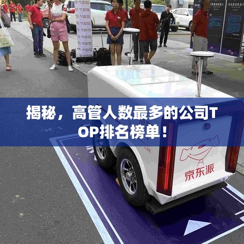 纡尊降贵