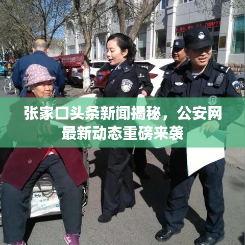 张家口头条新闻揭秘，公安网最新动态重磅来袭