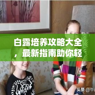 白露培养攻略大全，最新指南助你轻松掌握！