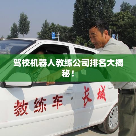 驾校机器人教练公司排名大揭秘！