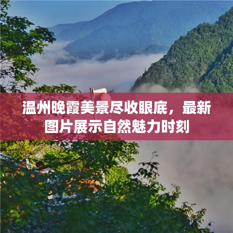 温州晚霞美景尽收眼底，最新图片展示自然魅力时刻