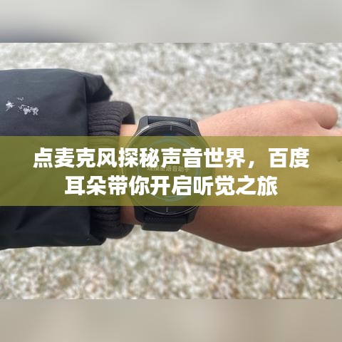 点麦克风探秘声音世界，百度耳朵带你开启听觉之旅