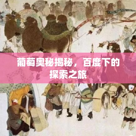 葡萄奥秘揭秘，百度下的探索之旅