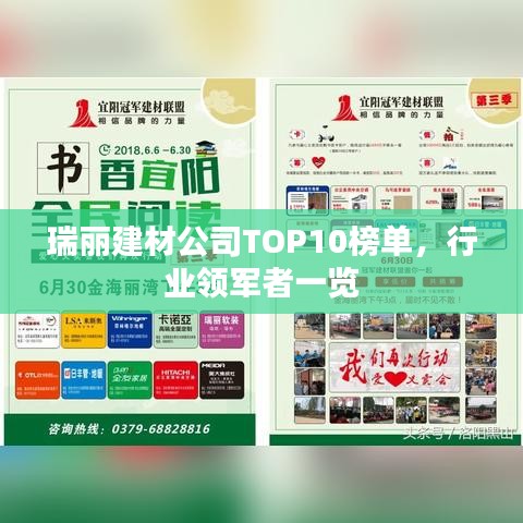 瑞丽建材公司TOP10榜单，行业领军者一览