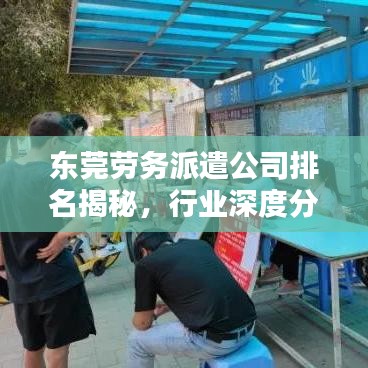 东莞劳务派遣公司排名揭秘，行业深度分析与评价