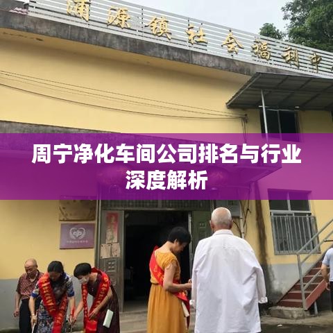 周宁净化车间公司排名与行业深度解析