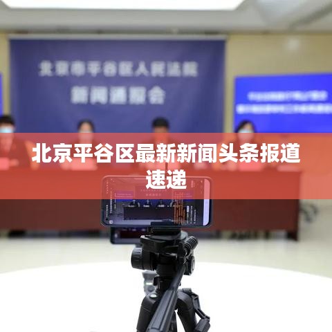 北京平谷区最新新闻头条报道速递