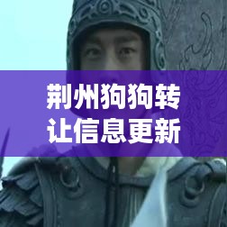 荆州狗狗转让信息更新，最新消息汇总