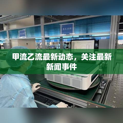 甲流乙流最新动态，关注最新新闻事件