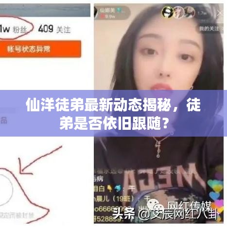 仙洋徒弟最新动态揭秘，徒弟是否依旧跟随？