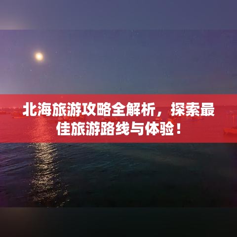 2025年5月8日 第4页