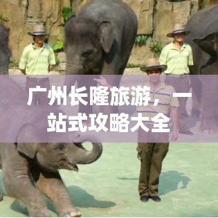 广州长隆旅游，一站式攻略大全