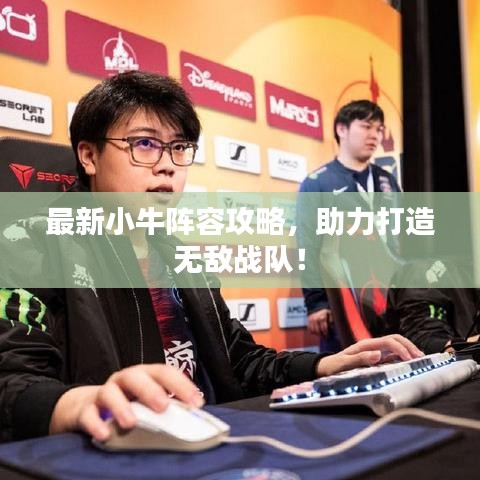 最新小牛阵容攻略，助力打造无敌战队！