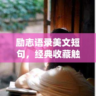 励志语录美文短句，经典收藏触动心灵