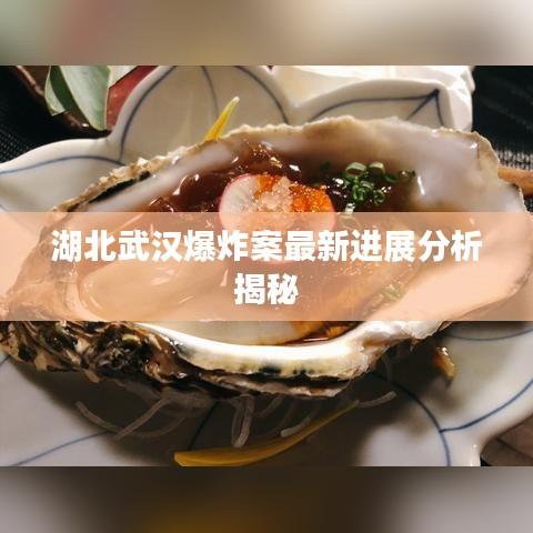 湖北武汉爆炸案最新进展分析揭秘