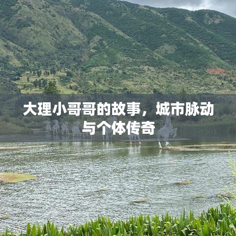 大理小哥哥的故事，城市脉动与个体传奇