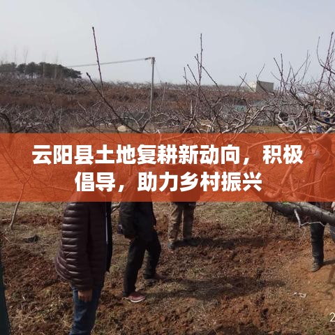 云阳县土地复耕新动向，积极倡导，助力乡村振兴