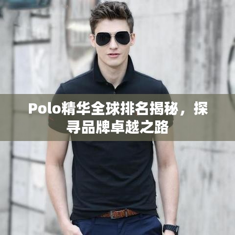 Polo精华全球排名揭秘，探寻品牌卓越之路