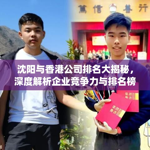 沈阳与香港公司排名大揭秘，深度解析企业竞争力与排名榜单