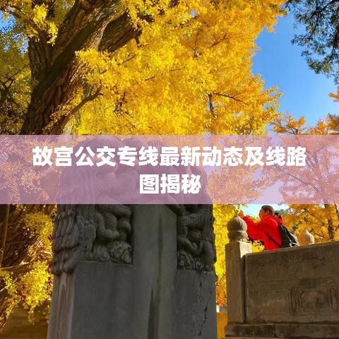 故宫公交专线最新动态及线路图揭秘
