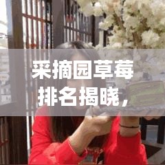 采摘园草莓排名揭晓，十大美味盛宴，尽享美味探寻之旅